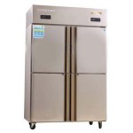 爱雪QB-04L*2D四门单温冷冻冰箱标准工程款风冷/冷冻柜