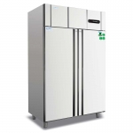 冰立方大二门冰箱FX2 二门单温冷冻冰箱 冰立方两门高身雪柜